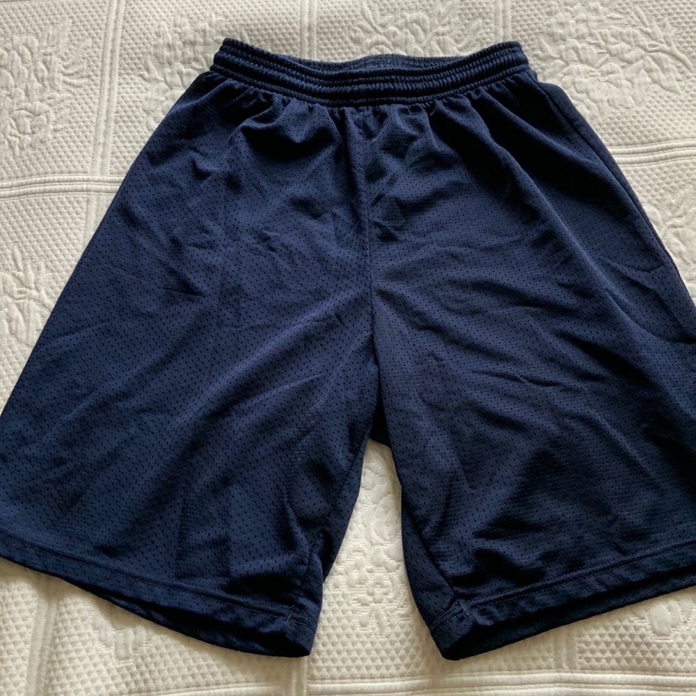 Alleson mesh athletic shorts. Navy blue. Mens small